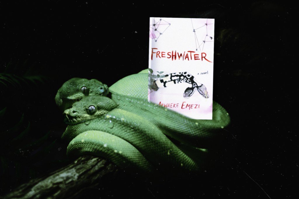 Book Review – Freshwater by Akwaeke&nbsp;Emezi